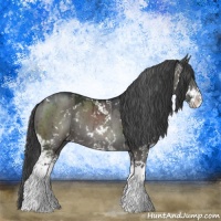 Horse Color:Grullo Sabino Rabicano Brindle 