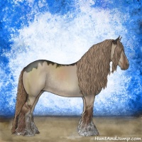 Horse Color:Liver Red Dun Sabino Rabicano