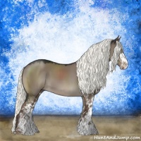 Horse Color:Liver Red Dun Mushroom Sabino 