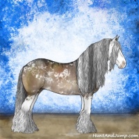 Horse Color:Brown Dun Sabino Splash Rabicano 