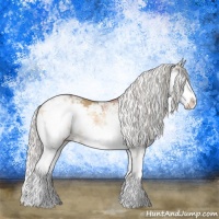 Horse Color:Gold Champagne Dun Mushroom Sabino Brindle 