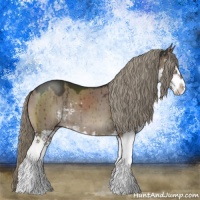 Horse Color:Liver Red Dun Mushroom Sabino Splash Rabicano Brindle 