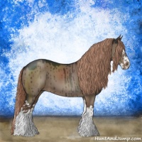 Horse Color:Liver Red Dun Sabino Splash Brindle 
