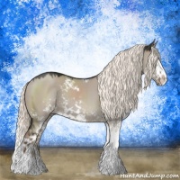 Horse Color:Liver Red Dun Mushroom Sabino Splash Rabicano