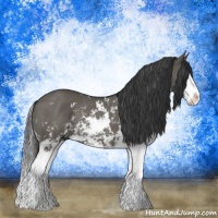 Horse Color:Grullo Mushroom Sabino Splash Rabicano