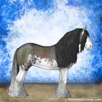 Horse Color:Grullo Mushroom Sabino Splash Brindle