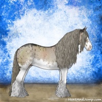 Horse Color:Liver Red Dun Mushroom Sabino Splash Rabicano Brindle