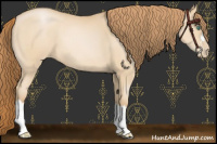 Horse Color:Smoky Black Pearl 