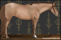 Horse Color:Brown Pearl 