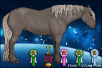 Horse Color:Silver Blue Roan