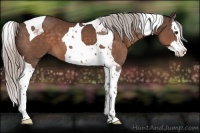 Horse Color:Silver Brown Splash Tobiano 