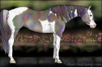 Horse Color:Nacre Black Chinchilla Splash Tobiano 