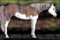 Horse Color:Nacre Silver Black Splash 