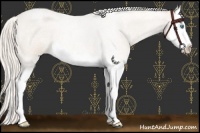 Horse Color:Cremello Roan Splash