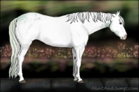 Horse Color:Watercolor White Spotted Silver Black Ice 
