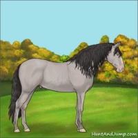 Horse Color:Platinum Amber Champagne 