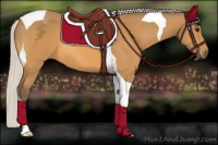 Horse Color:Silver Buckskin Tobiano 