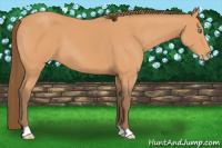 Horse Color:Gray Perlino