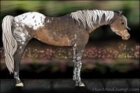 Horse Color:Silver Smoky Black Tobiano Appaloosa 