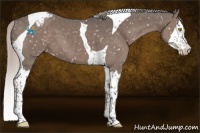 Horse Color:Silver Black Splash Tobiano Snowflake Varnish