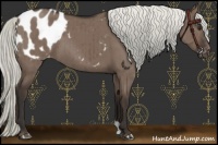 Horse Color:Liver Red Dun Mushroom Blanket Brindle 