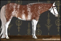 Horse Color:White Spotted Chocolate Silver Brown Splash