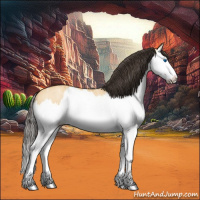 Horse Color:Buckskin Ice Roan Dun Splash 