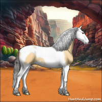 Horse Color:Buckskin Roan Dun Splash Tobiano 