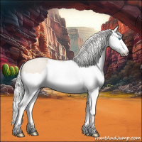 Horse Color:Silver Smoky Creme Ice Splash 