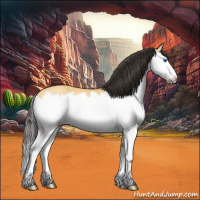Horse Color:Buckskin Roan Dun Splash 