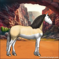 Horse Color:Buckskin Splash Rabicano 