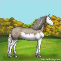 Horse Color:Silver Smoky Grullo Roan Splash