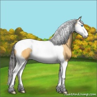 Horse Color:Buckskin Ice Splash Tobiano 