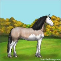 Horse Color:Brown Ice Roan Dun Splash 