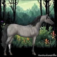 Horse Color:Grullo Roan 