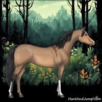 Horse Color:Bay Dun 