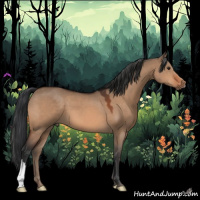 Horse Color:Brown Dun 