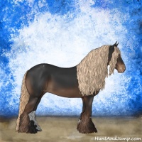 Horse Color:Liver Chestnut Appaloosa 