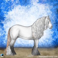 Horse Color:Gray Liver Chestnut Rabicano 