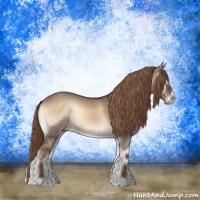 Horse Color:Liver Red Dun Onyx 