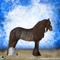 Horse Color:Liver Chestnut Ice Rabicano