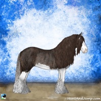 Horse Color:Liver Red Ice Roan Splash Rabicano