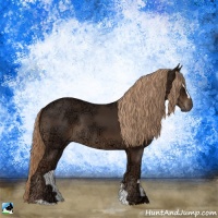 Horse Color:Liver Chestnut Ice Sabino Rabicano