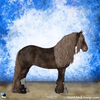 Horse Color:Liver Chestnut Ice Rabicano