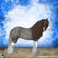 Horse Color:Liver Red Ice Roan Splash Rabicano