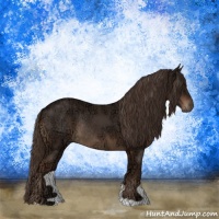 Horse Color:Liver Chestnut Ice Rabicano