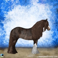 Horse Color:Liver Chestnut Ice Rabicano