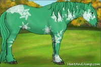 Horse Color:Watercolor Black Ice 