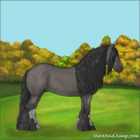 Horse Color:Grullo Rabicano 