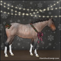 Horse Color:Brown Roan Rabicano 